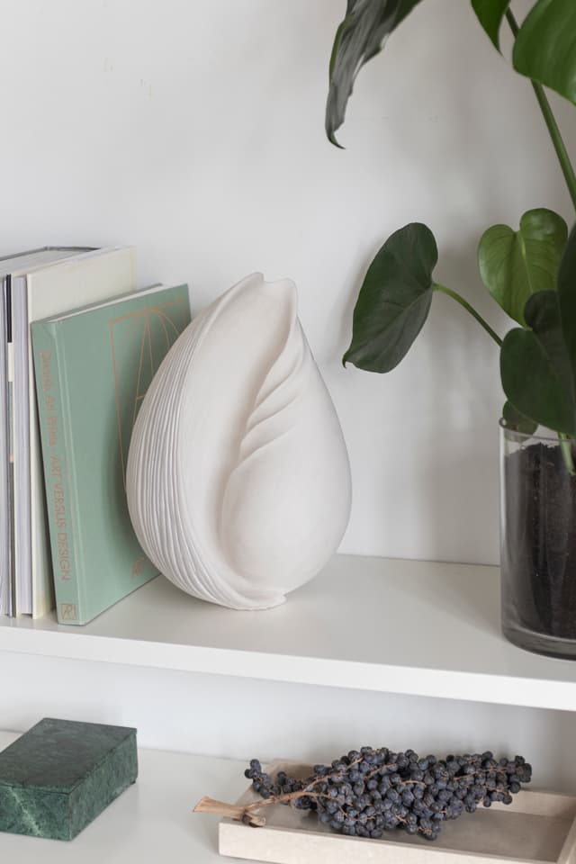 Conch Shell Decoration Off-White Large