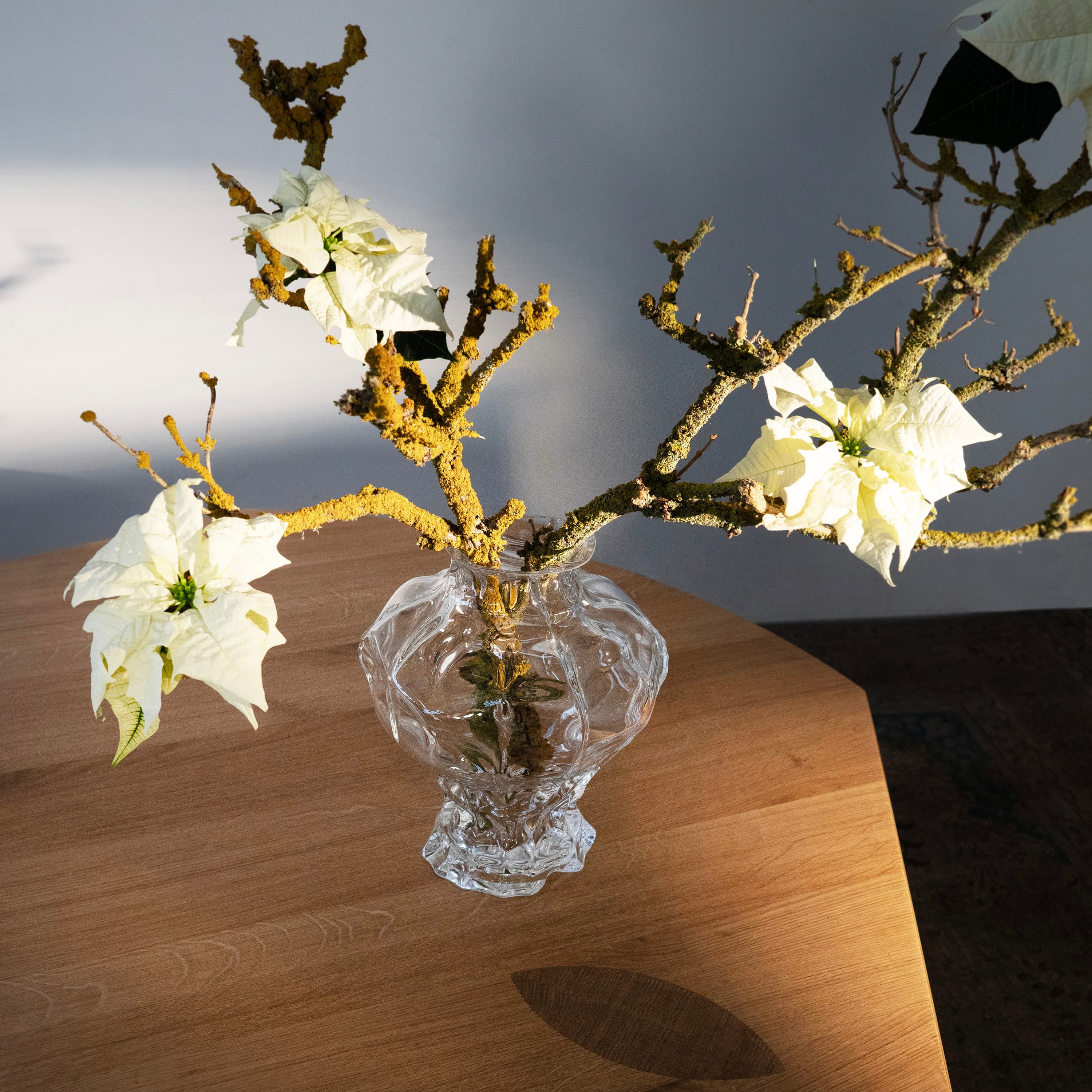 Ammonit Vase Clear Large