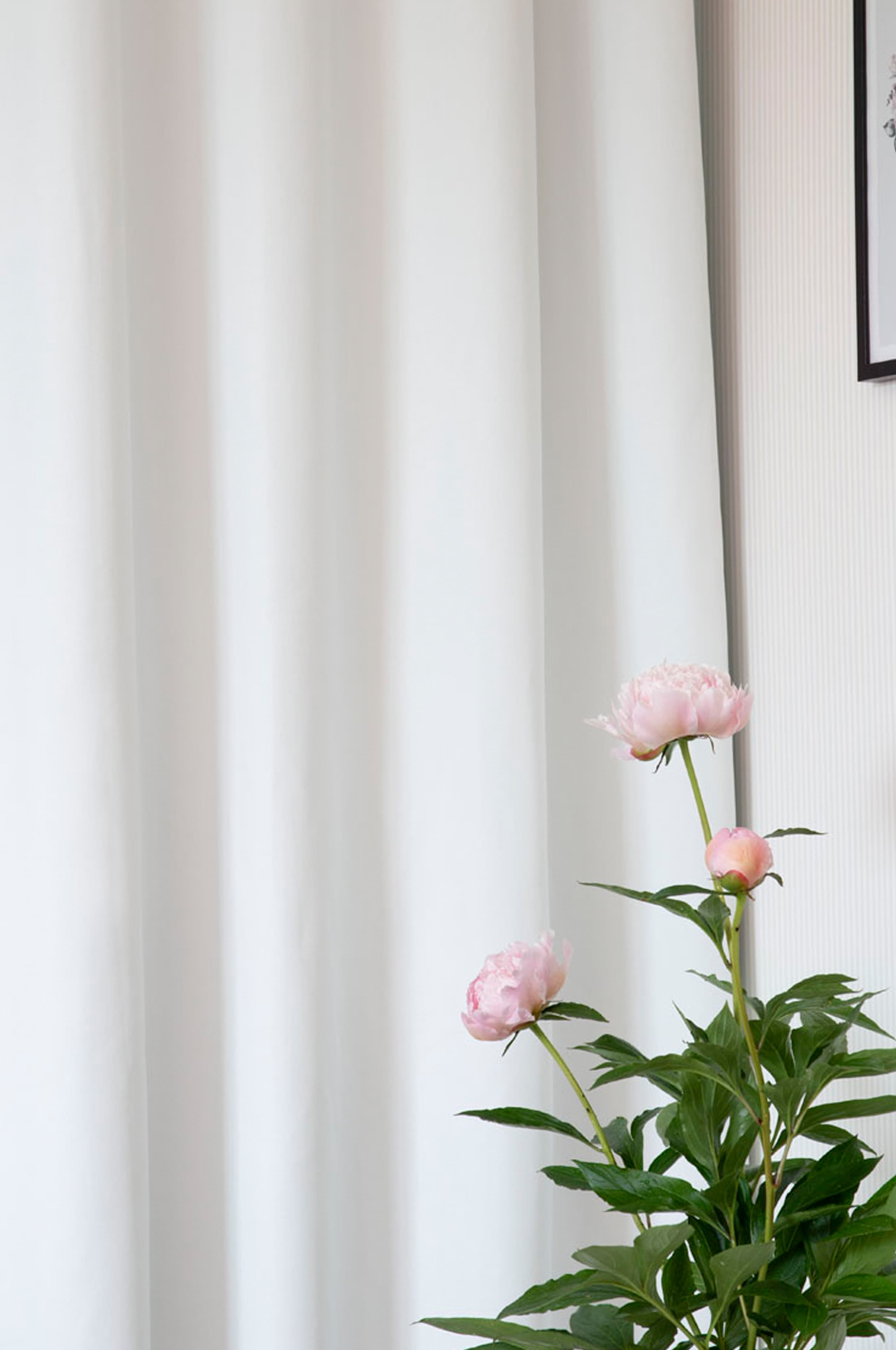Good Night Blackout Curtain White 250cm