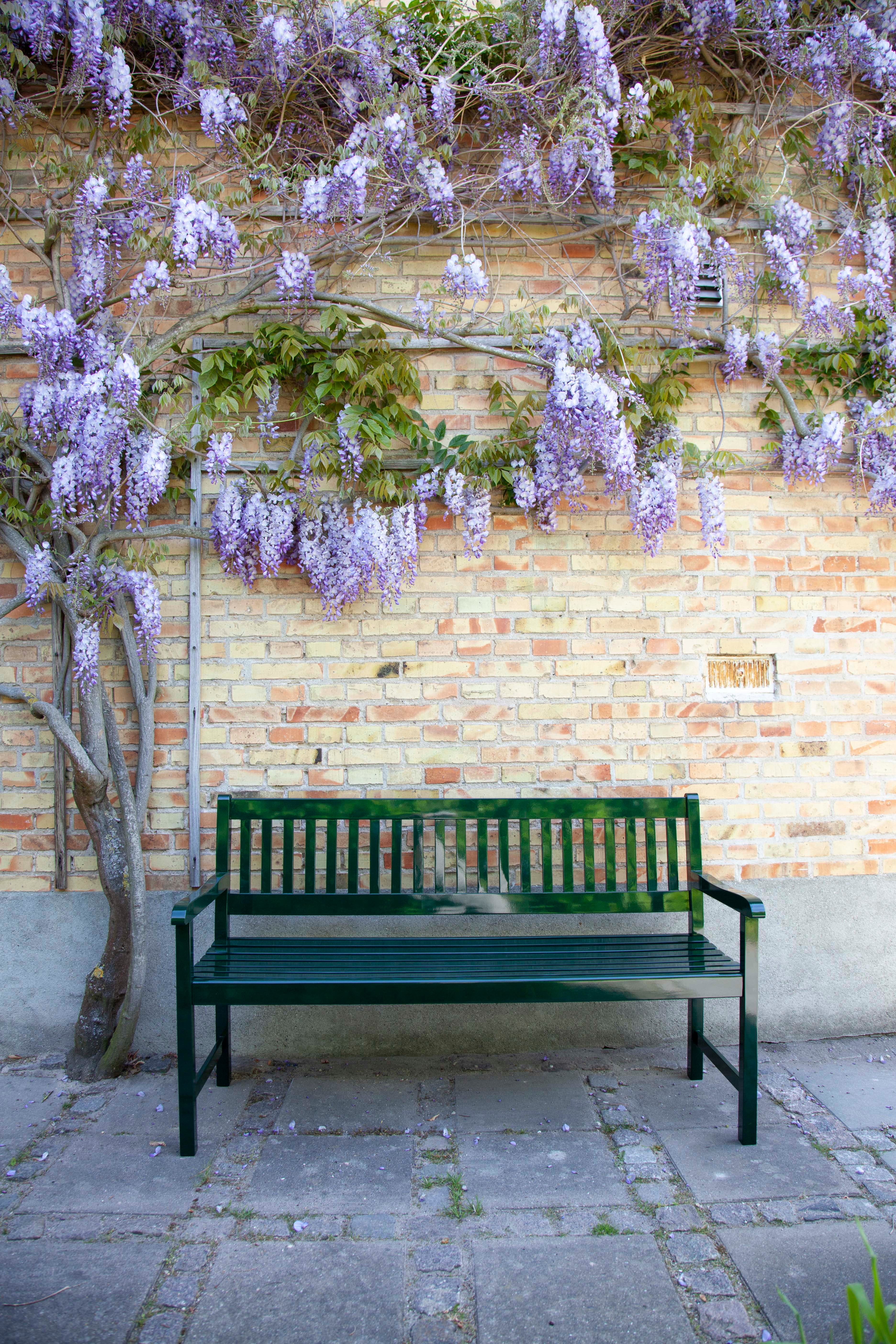 Brighton Bench Green 150cm